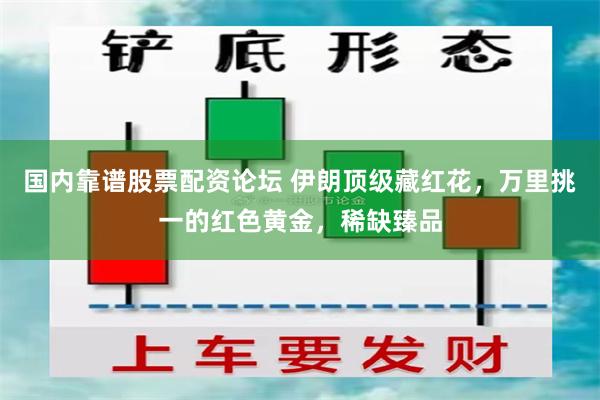 国内靠谱股票配资论坛 伊朗顶级藏红花，万里挑一的红色黄金，稀缺臻品