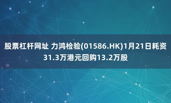 股票杠杆网址 力鸿检验(01586.HK)1月21日耗资31.3万港元回购13.2万股