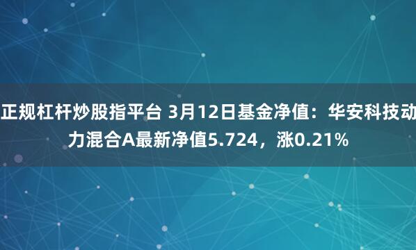 正规杠杆炒股指平台 3月12日基金净值：华安科技动力混合A最新净值5.724，涨0.21%